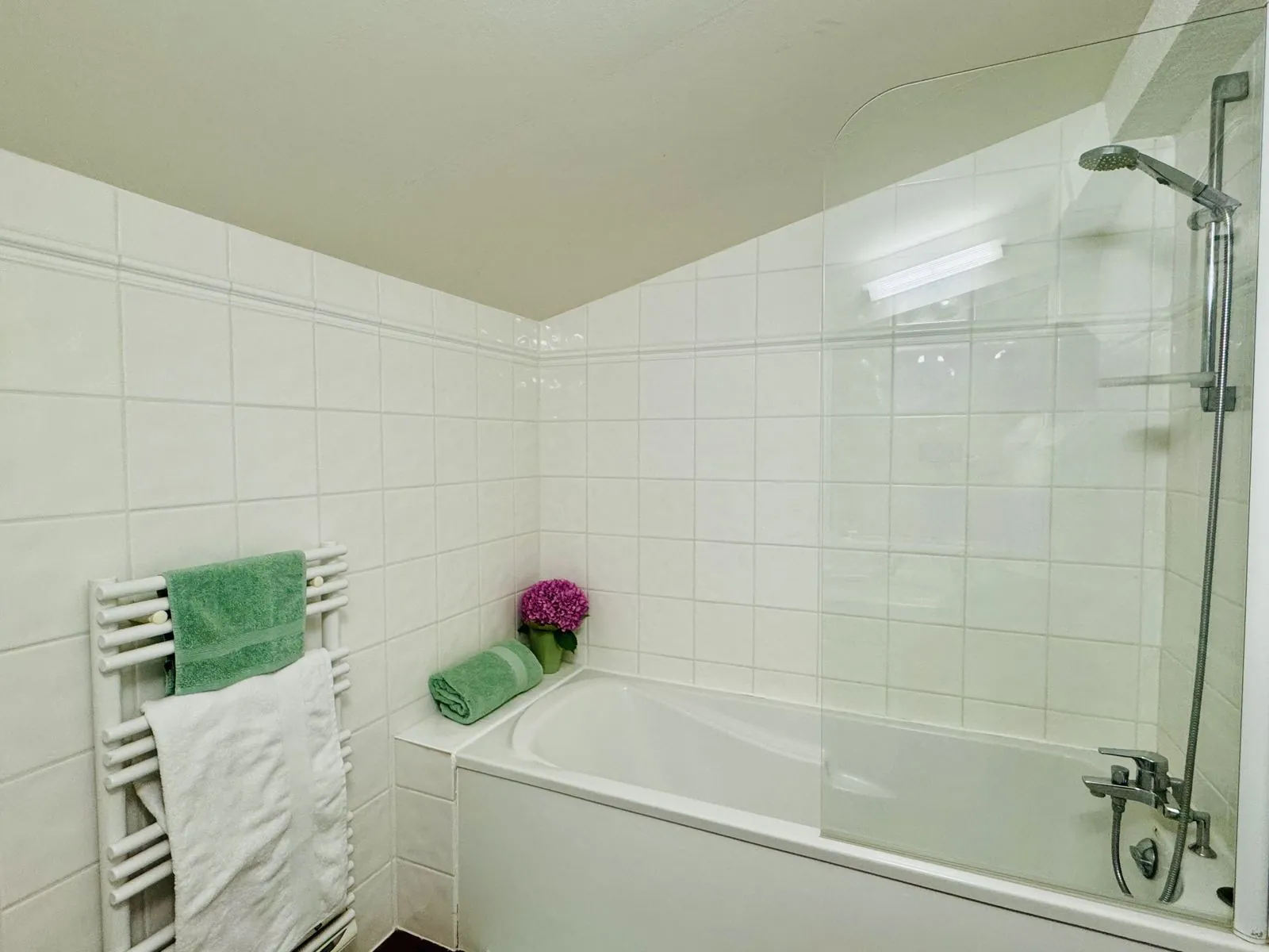 Habitación Terra – bañera